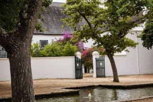 Kapstaden: Constantia halvdags vintur och provsmakning