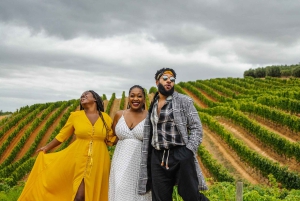 Kapstaden: Constantia halvdags vintur och provsmakning