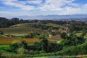 Kapstaden: Constantia halvdags vintur och provsmakning