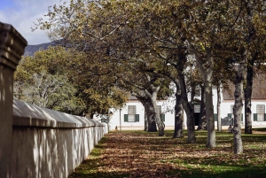 Kapstaden: Constantia halvdags vintur och provsmakning