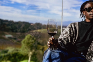 Kapstaden: Constantia halvdags vintur och provsmakning