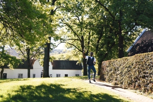 Kapstaden: Constantia halvdags vintur och provsmakning