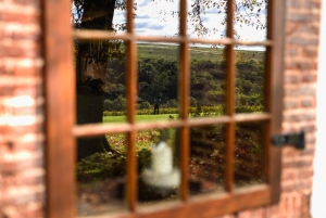 Kapstaden: Constantia halvdags vintur och provsmakning