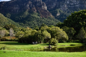 Kapstaden: Constantia halvdags vintur och provsmakning