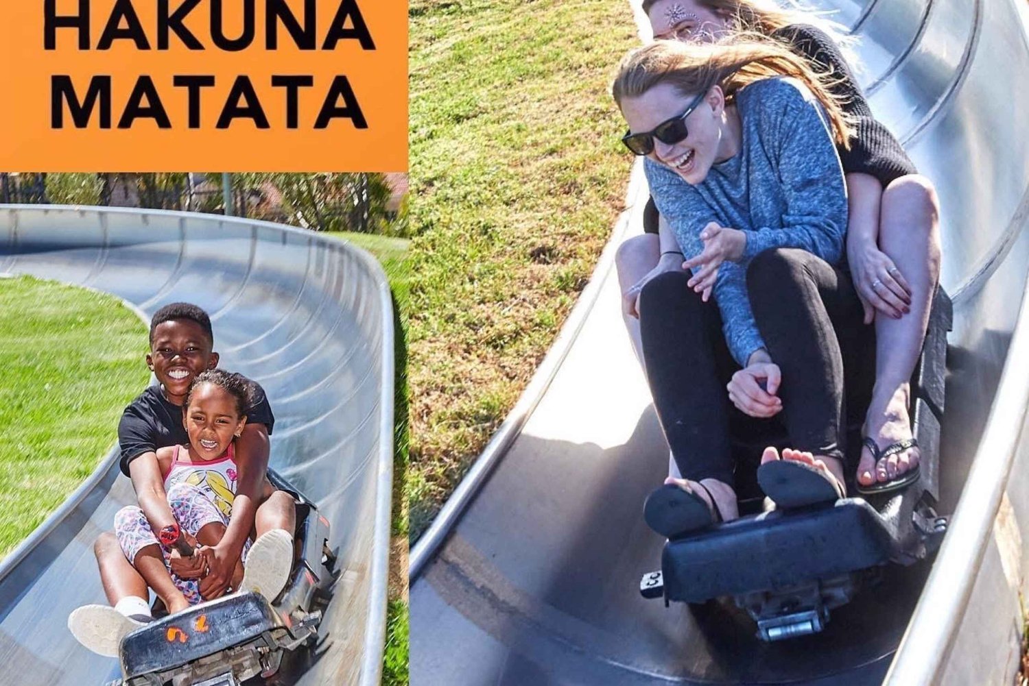 Cape Town: Cool Running/Toboggan Adventure and Hotel Pickup
