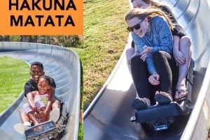 Cape Town: Family Park Adventure/Cool Running (Hotel Pickup)