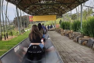 Cape Town: Family Park Adventure/Cool Running (Hotel Pickup)