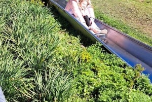 Cape Town: Family Park Adventure/Cool Running (Hotel Pickup)