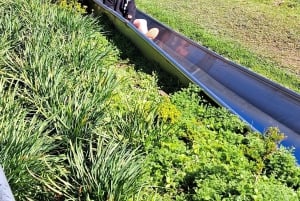 Cape Town: Family Park Adventure/Cool Running (Hotel Pickup)