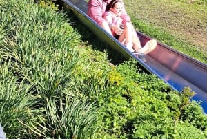 Cape Town: Family Park Adventure/Cool Running (Hotel Pickup)