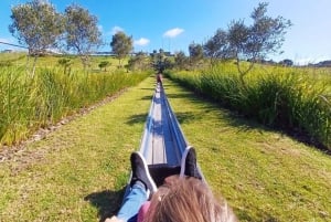 Cape Town: Family Park Adventure/Cool Running (Hotel Pickup)