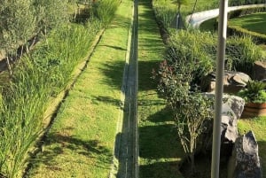 Cape Town: Family Park Adventure/Cool Running (Hotel Pickup)