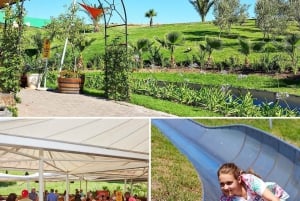 Cape Town: Family Park Adventure/Cool Running (Hotel Pickup)