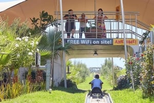 Cape Town: Family Park Adventure/Cool Running (Hotel Pickup)