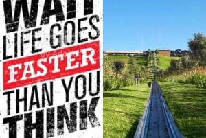 Cape Town: Family Park Adventure/Cool Running (Hotel Pickup)