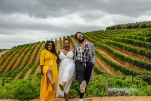 Cape Town : Customized Cape Winelands Tour