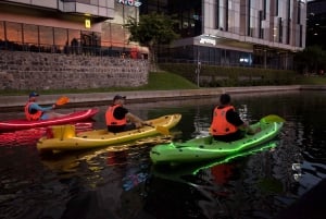 Città del Capo: tour guidato in kayak diurno o notturno a Battery Park