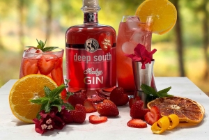 Città del Capo: Degustazione di gin della Deep South Distillery