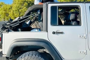 Cape Town Desert Thrills: Dune Jeep Venture