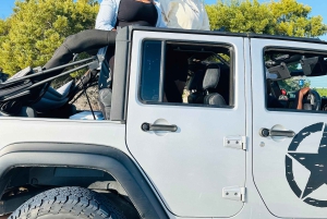 Cape Town Desert Thrills: Dune Jeep Venture