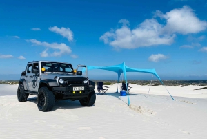 Emociones en el desierto de Ciudad del Cabo: Jeep Dune Venture