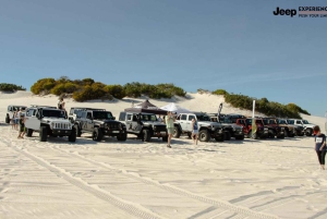 Cape Town Dessert Thrill: Jeep Dune Venture
