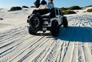 Cape Town Dessert Thrill: Jeep Dune Venture