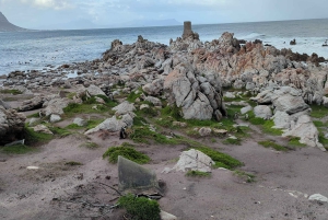 Tour particular: Diamond Works, Bo-Kaap e Cabo da Boa Esperança