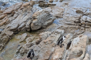 Tour particular: Diamond Works, Bo-Kaap e Cabo da Boa Esperança