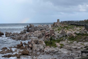 Tour particular: Diamond Works, Bo-Kaap e Cabo da Boa Esperança