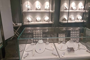 Tour particular: Diamond Works, Bo-Kaap e Cabo da Boa Esperança