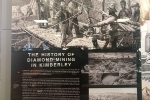 Tour particular: Diamond Works, Bo-Kaap e Cabo da Boa Esperança