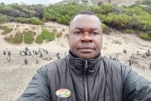 Tour particular: Diamond Works, Bo-Kaap e Cabo da Boa Esperança