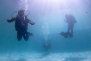 Kaapstad: Discover Scuba Diving - 1 dag ervaring