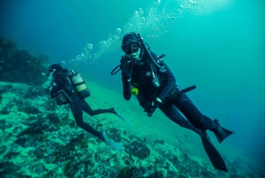 Cape Town: Discover Scuba Diving - 1 dags oplevelse