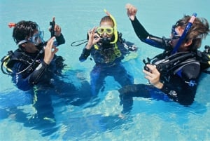 Cape Town: Discover Scuba Diving Experience