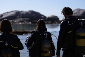 Cape Town: Discover Scuba Diving Experience