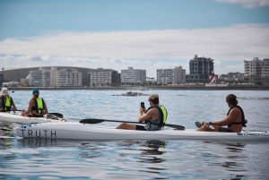 Cape Town: Dolphin & Ocean Wildlife Kayaking Adventure ⚓️