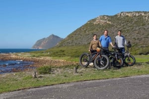 Кейптаун: тур по полуострову E-Bike Cape