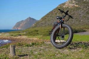 Ciudad del Cabo: Recorrido en E-Bike por la Península del Cabo