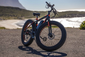 Cape Town: E-Bike Cape Peninsula Tour