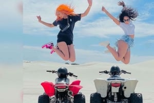 Le Cap : aventure écologique en quad et arrêts photo