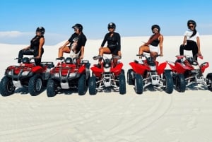 Le Cap : aventure écologique en quad et arrêts photo