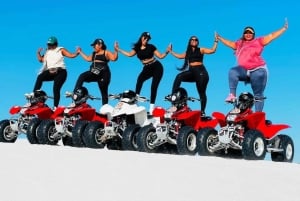 Le Cap : aventure écologique en quad et arrêts photo