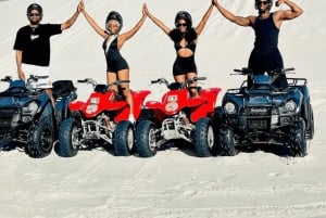 Le Cap : aventure écologique en quad et arrêts photo