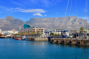 Cape Town: Essential Food and Drink Tour