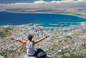 Cape Town Evenings: Waterfront Dining & Wine Lounges