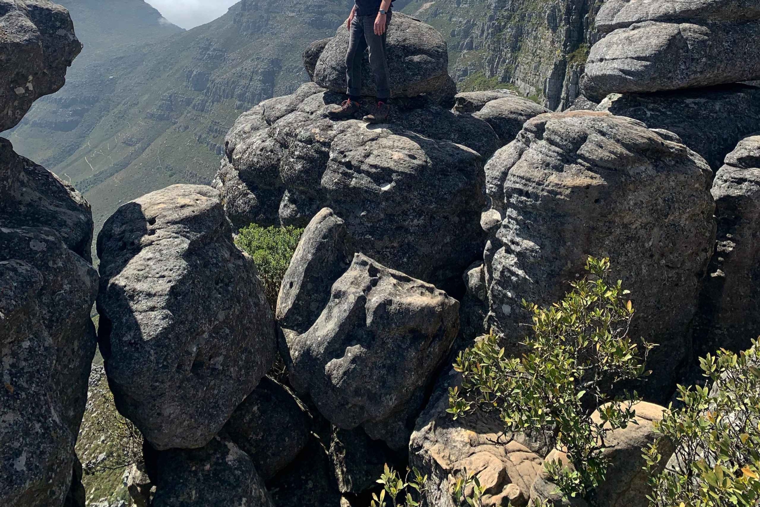 Kapstaden | Exklusiv guidad vandring på Taffelberget