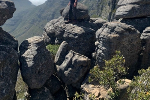 Kapstaden | Exklusiv guidad vandring på Taffelberget