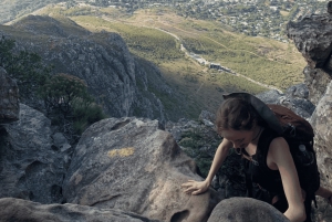 Kapstaden | Exklusiv guidad vandring på Taffelberget